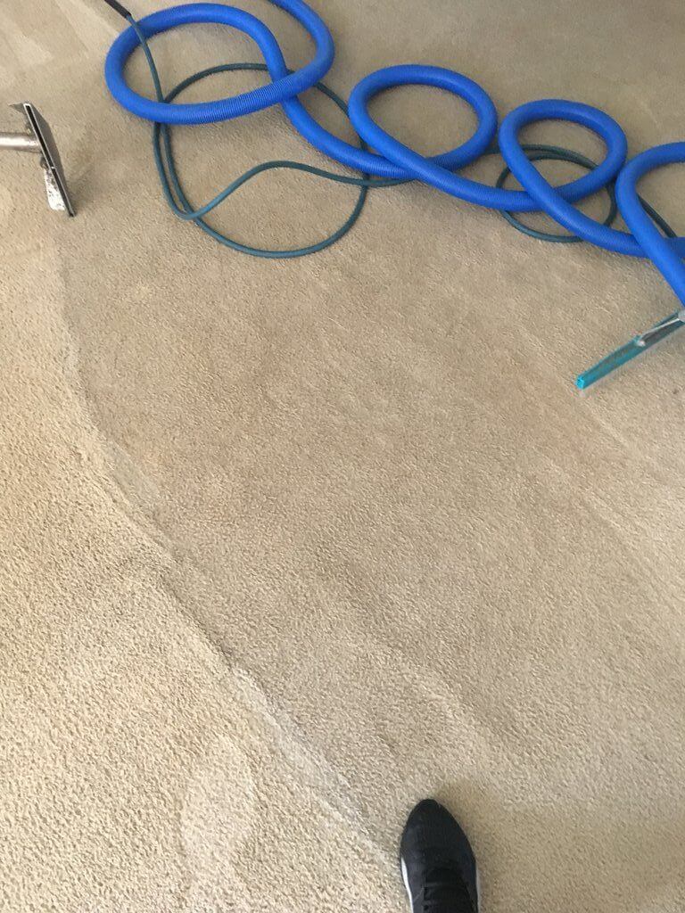 Gallery A2Z Carpet Cleaning West Palm Beach, FL, 33407